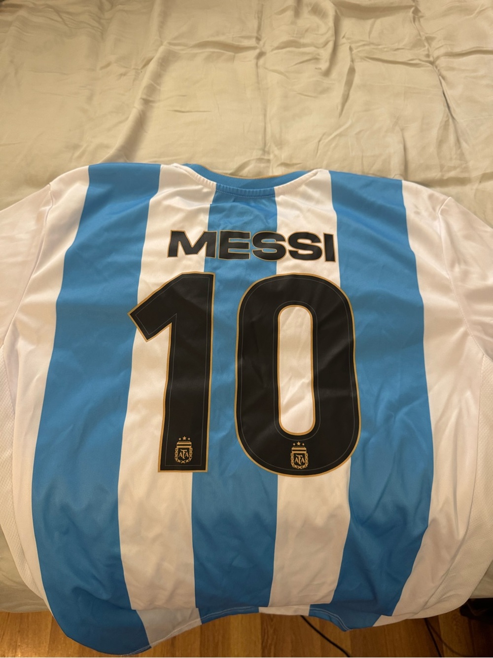 Argentina World Cup Jersey - Picture 3 of 3